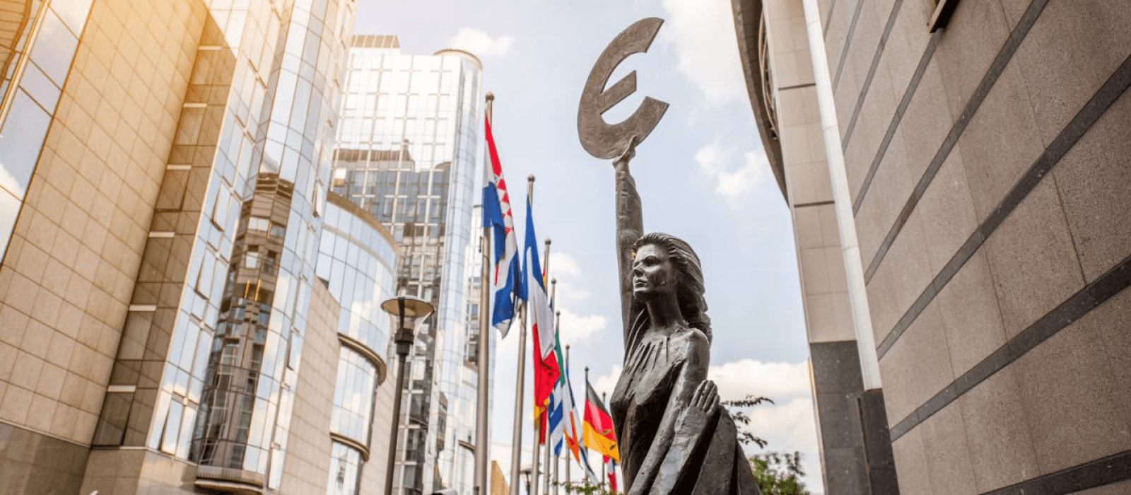 Image of firmeu Image of firmeu